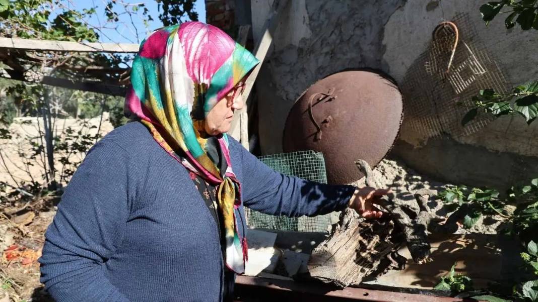 Adana’da Emekli Öğretmen Bahçesini Açık Hava Sergisine Çevirdi! 5